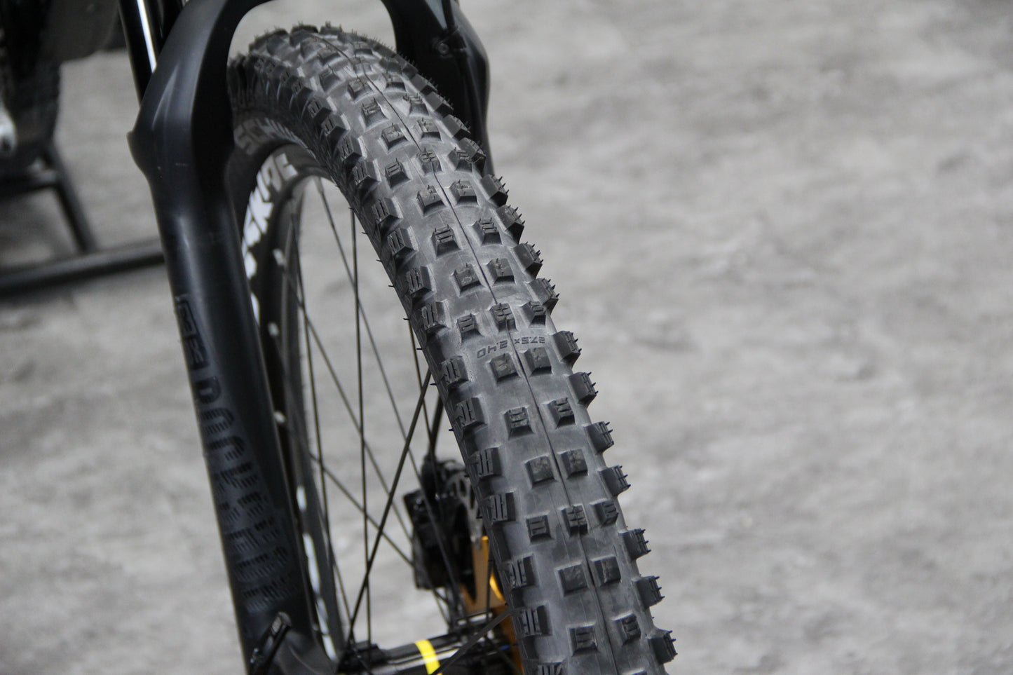 2019 Canyon Torque