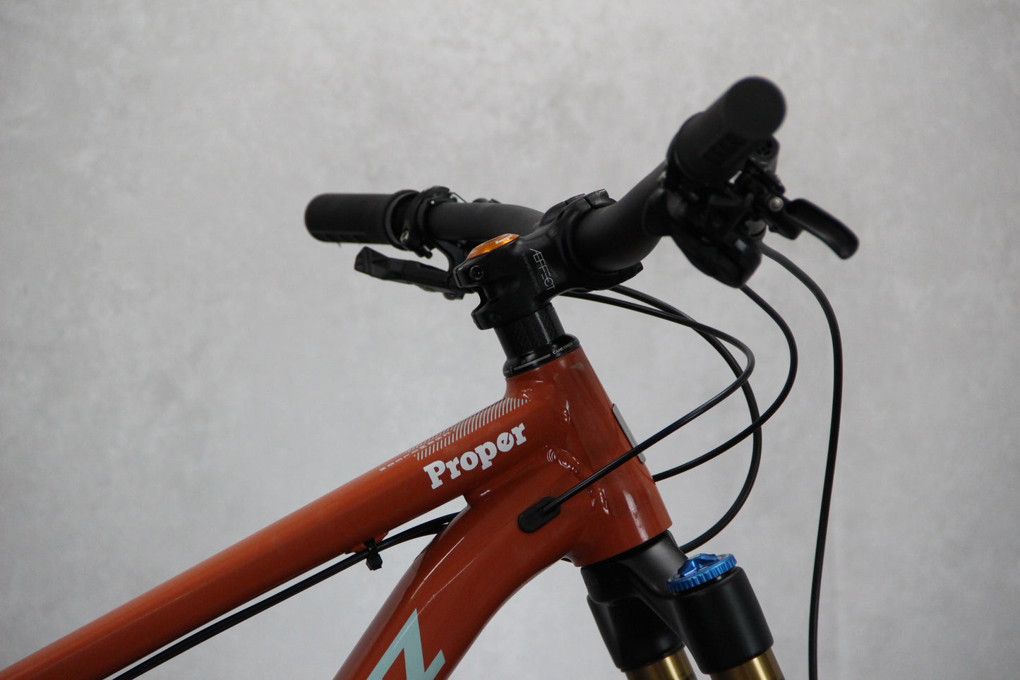 2019 Santa Cruz Chameleon
