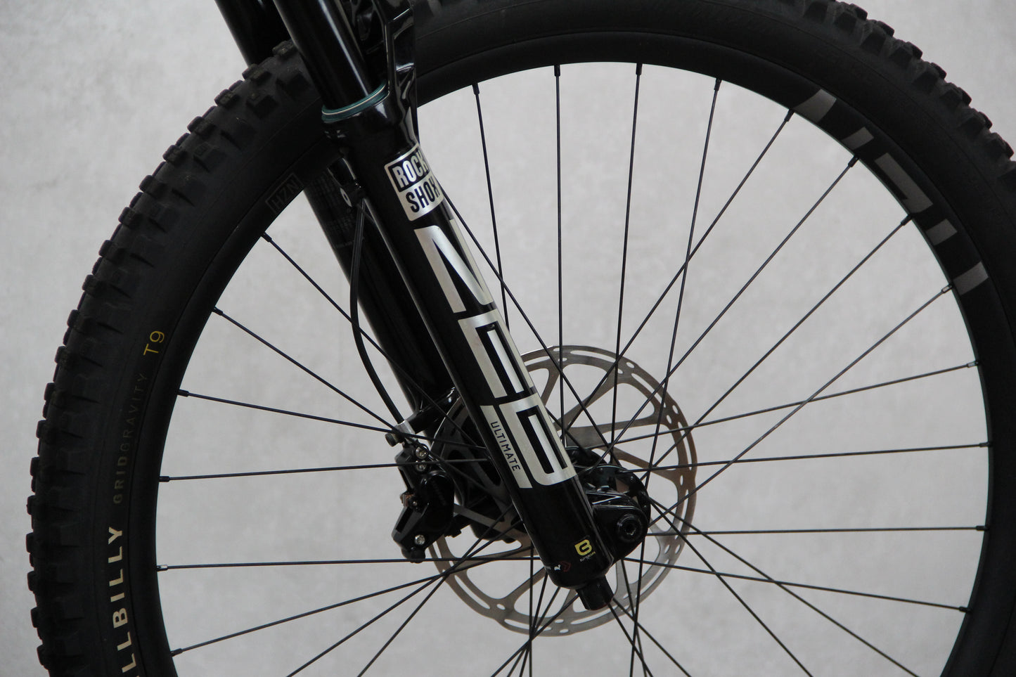2023 Nukeproof Giga 297
