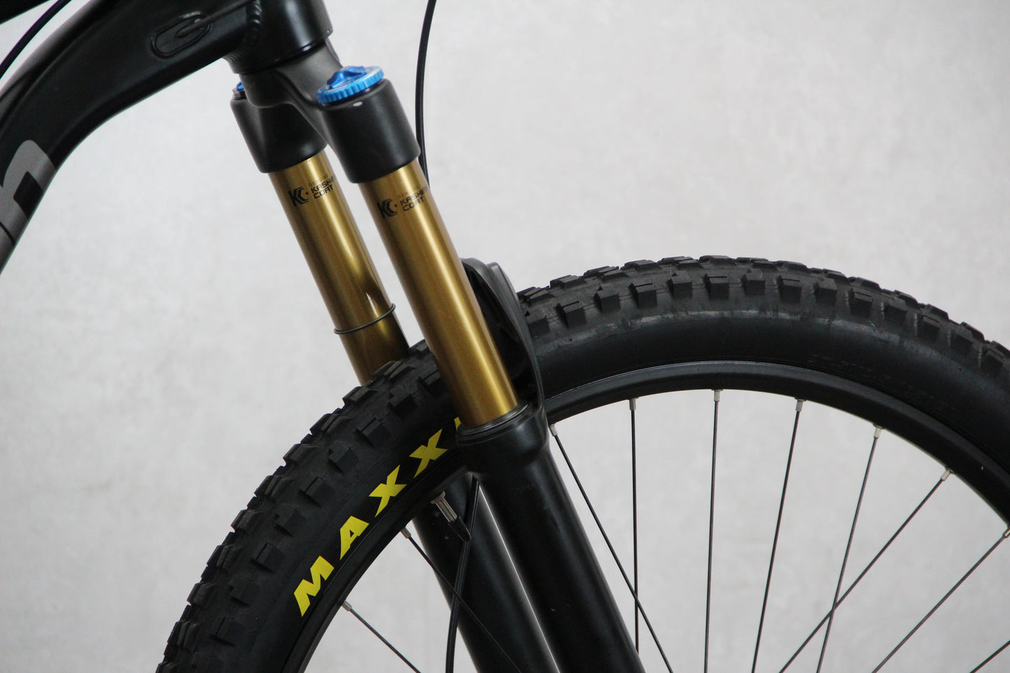 2018 Transition Scout