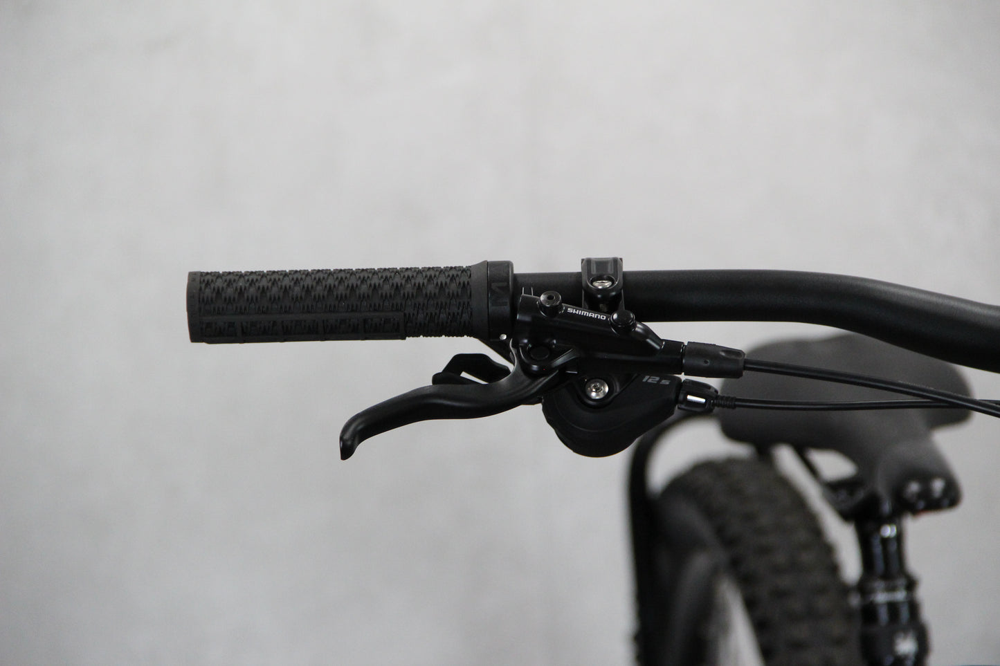 2023 Marin Alpine Trail