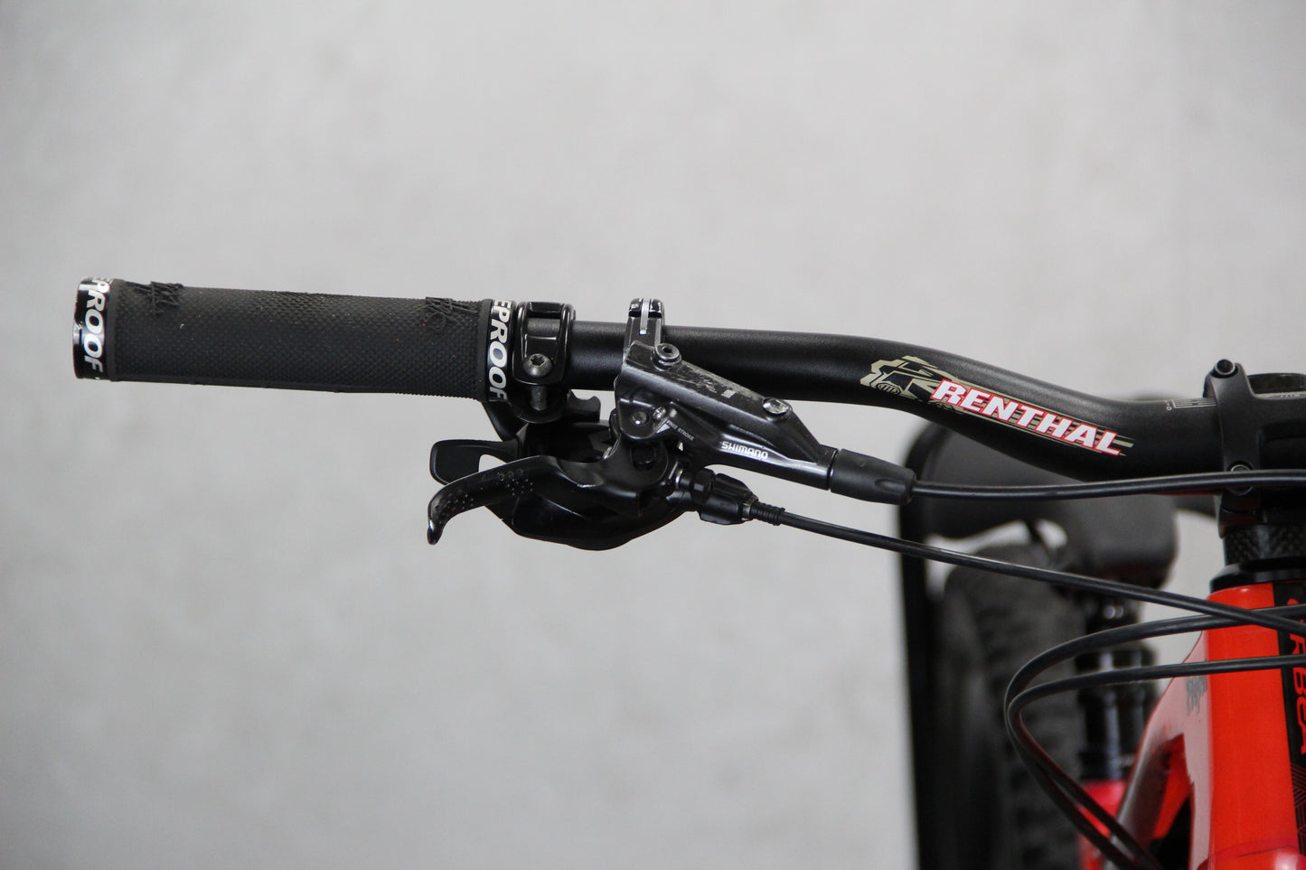 2019 Orbea Occam