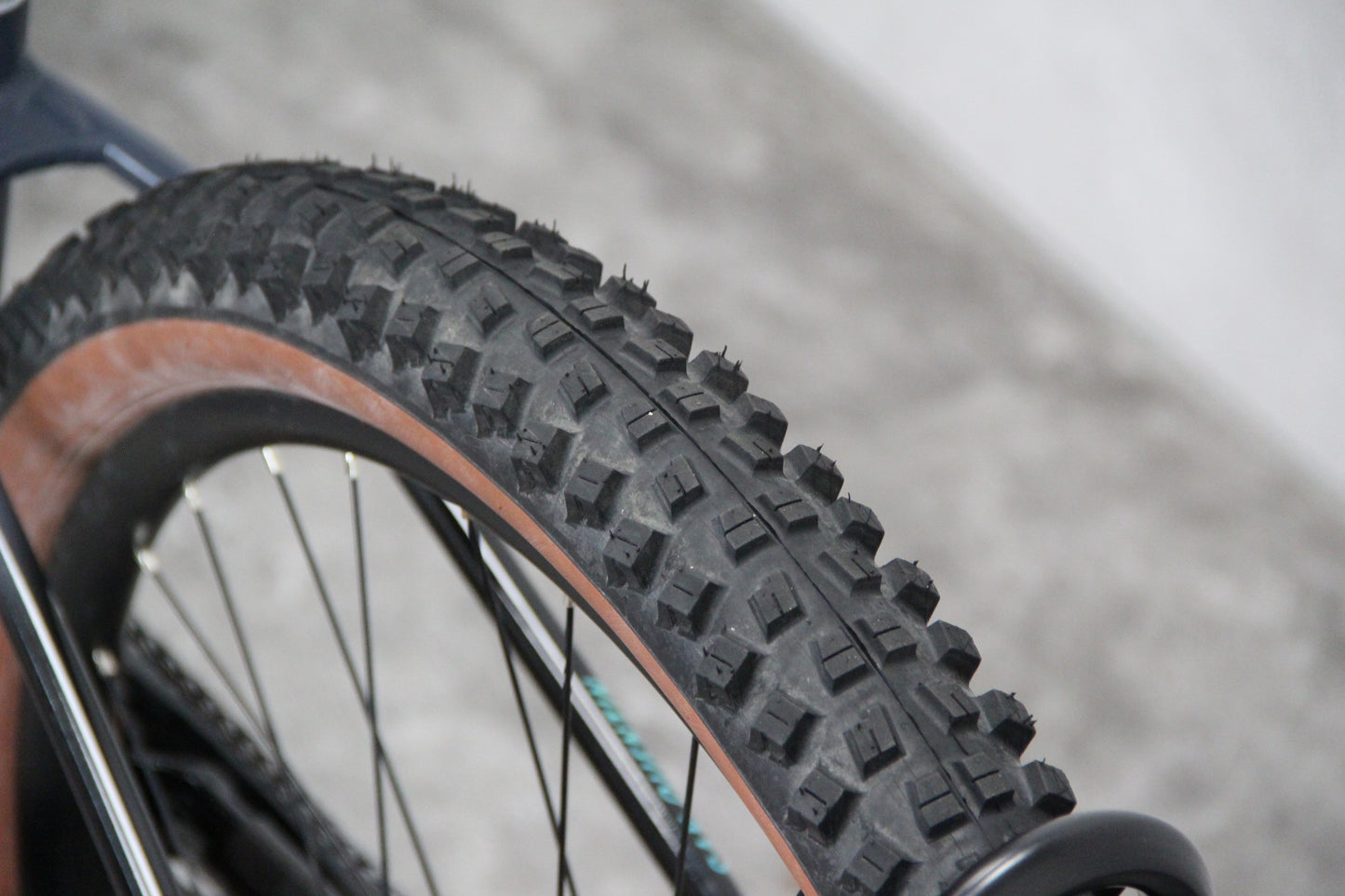 2024 Mari San Quentin