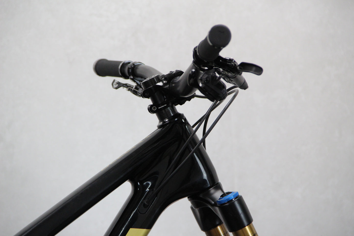 2017 Transition Scout