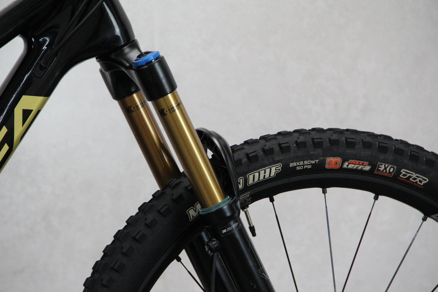 2017 Transition Scout