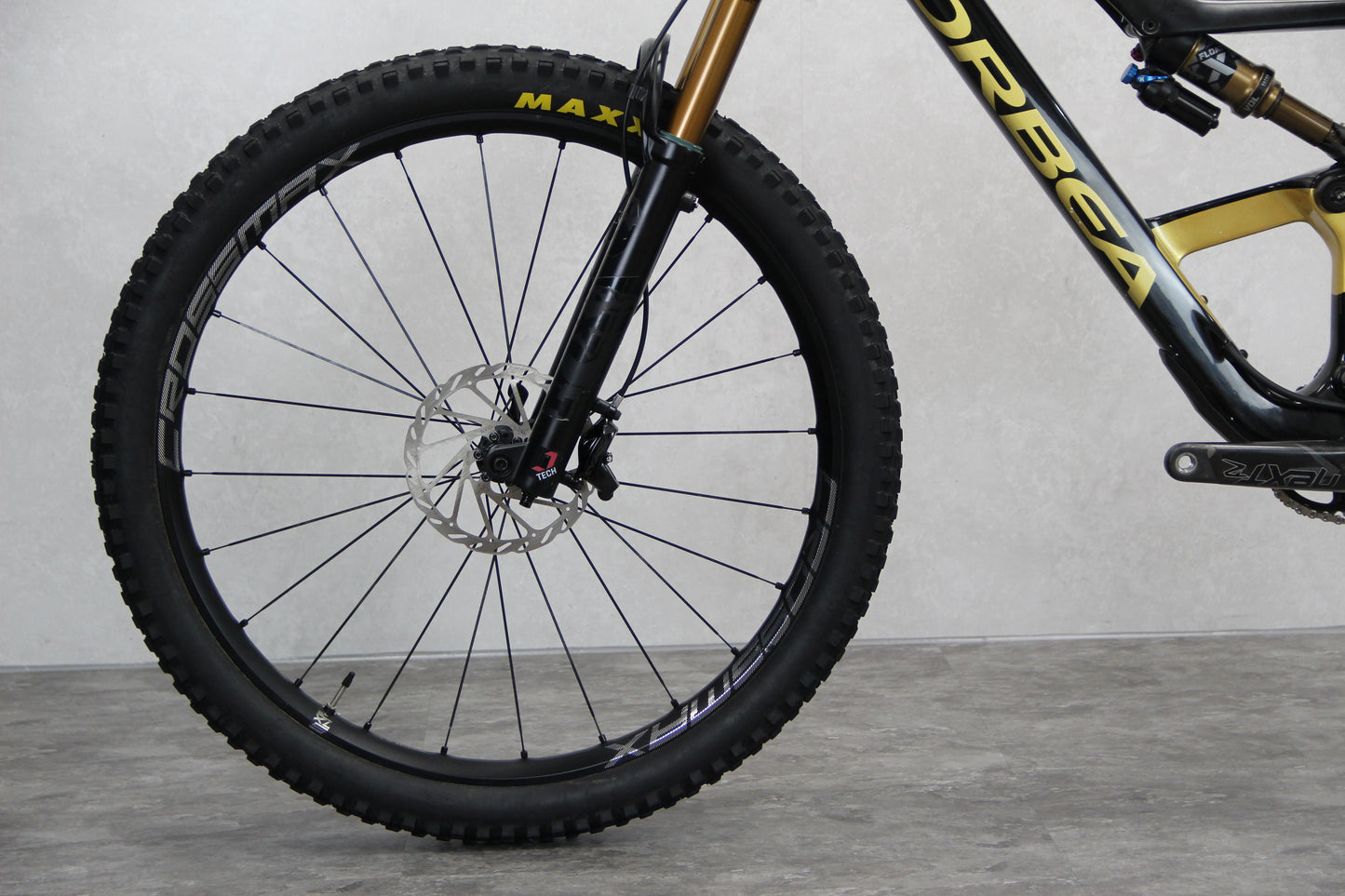 2017 Transition Scout