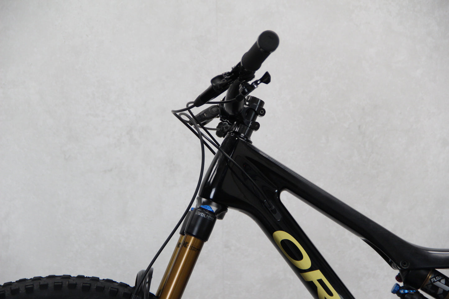2017 Transition Scout