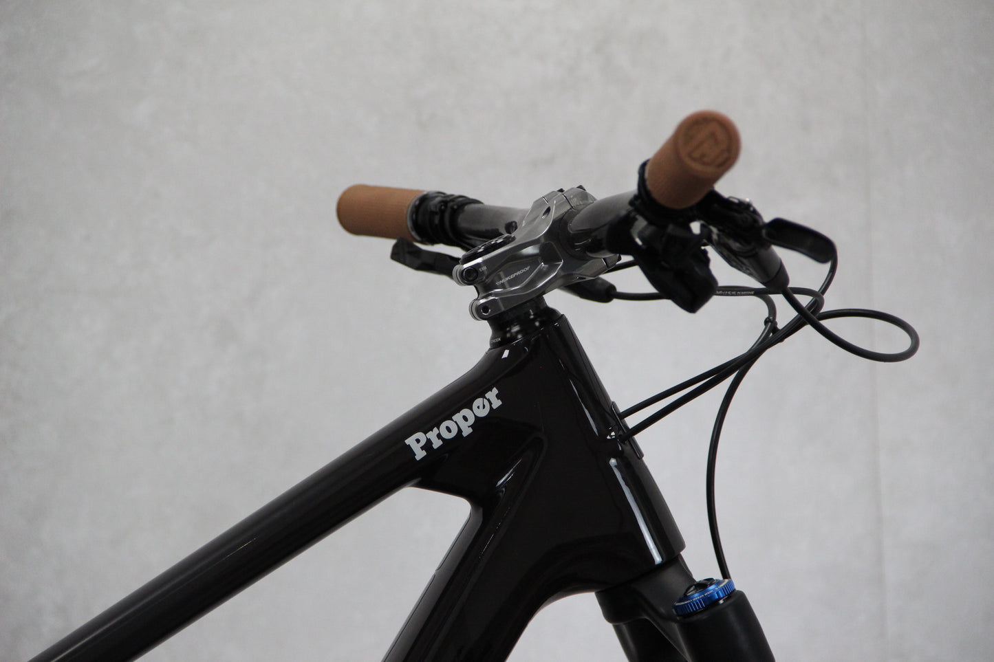 2017 Trek Remedy