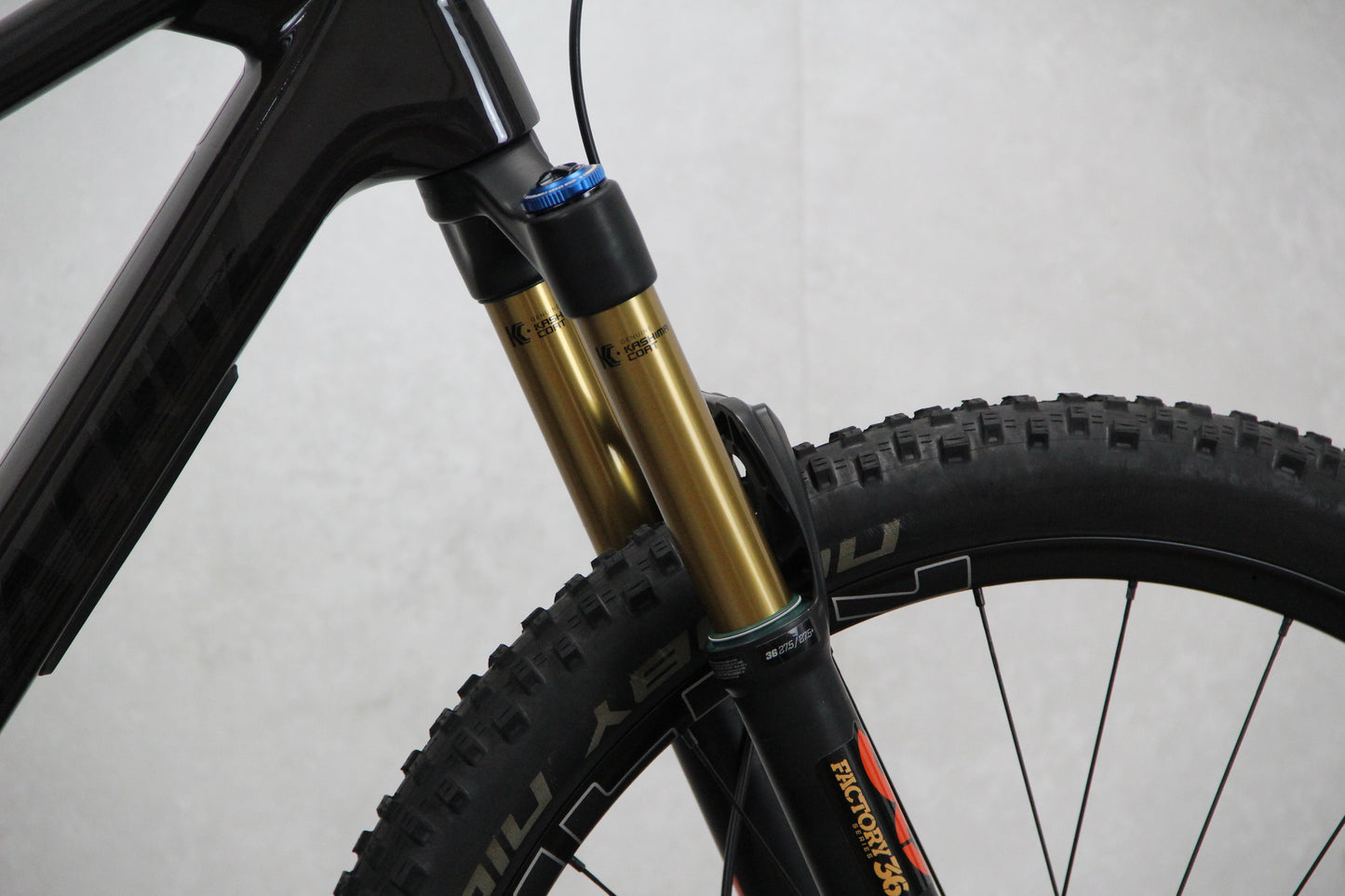 2017 Trek Remedy
