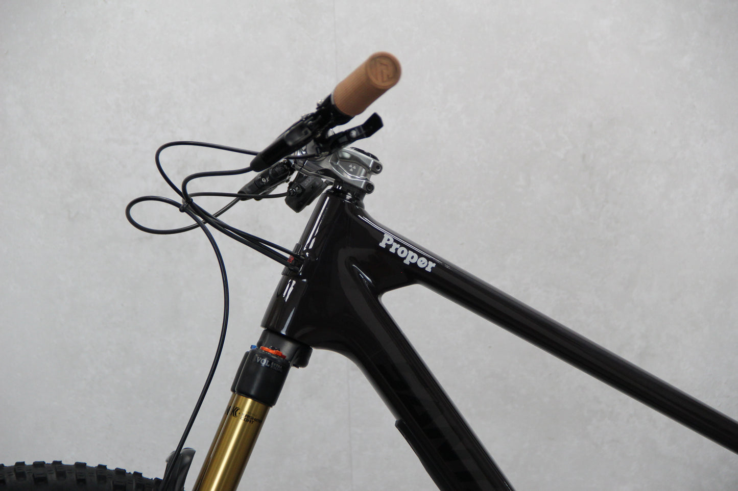 2017 Trek Remedy
