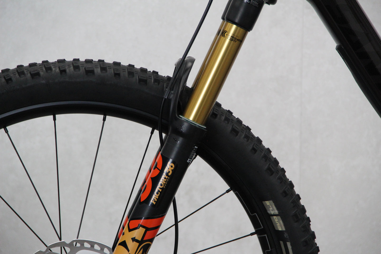 2017 Trek Remedy