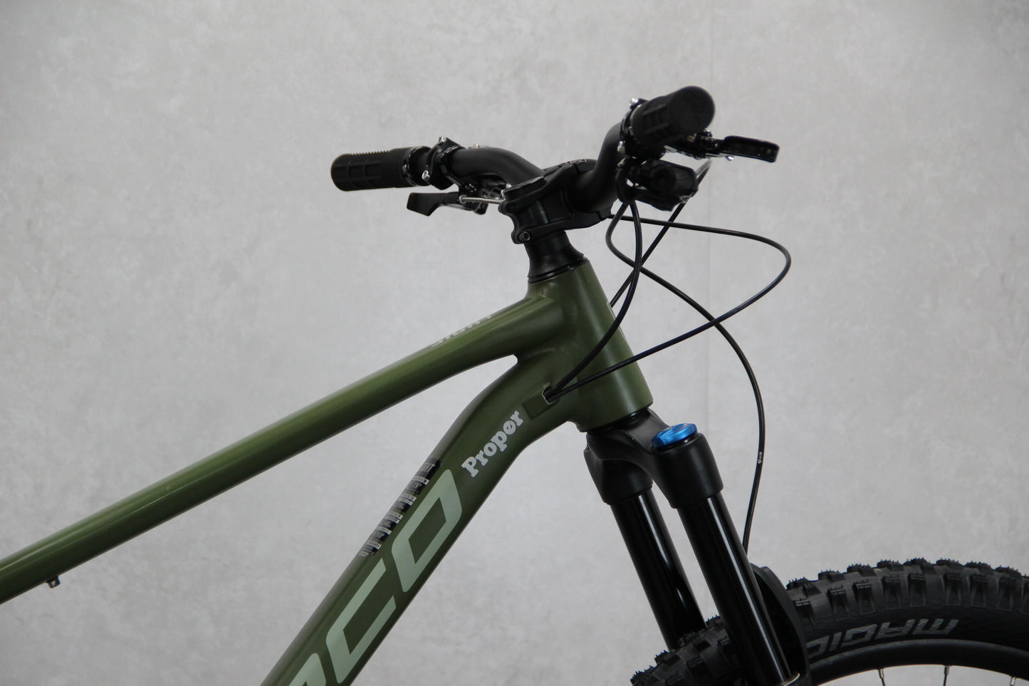 2019 Giant Trance