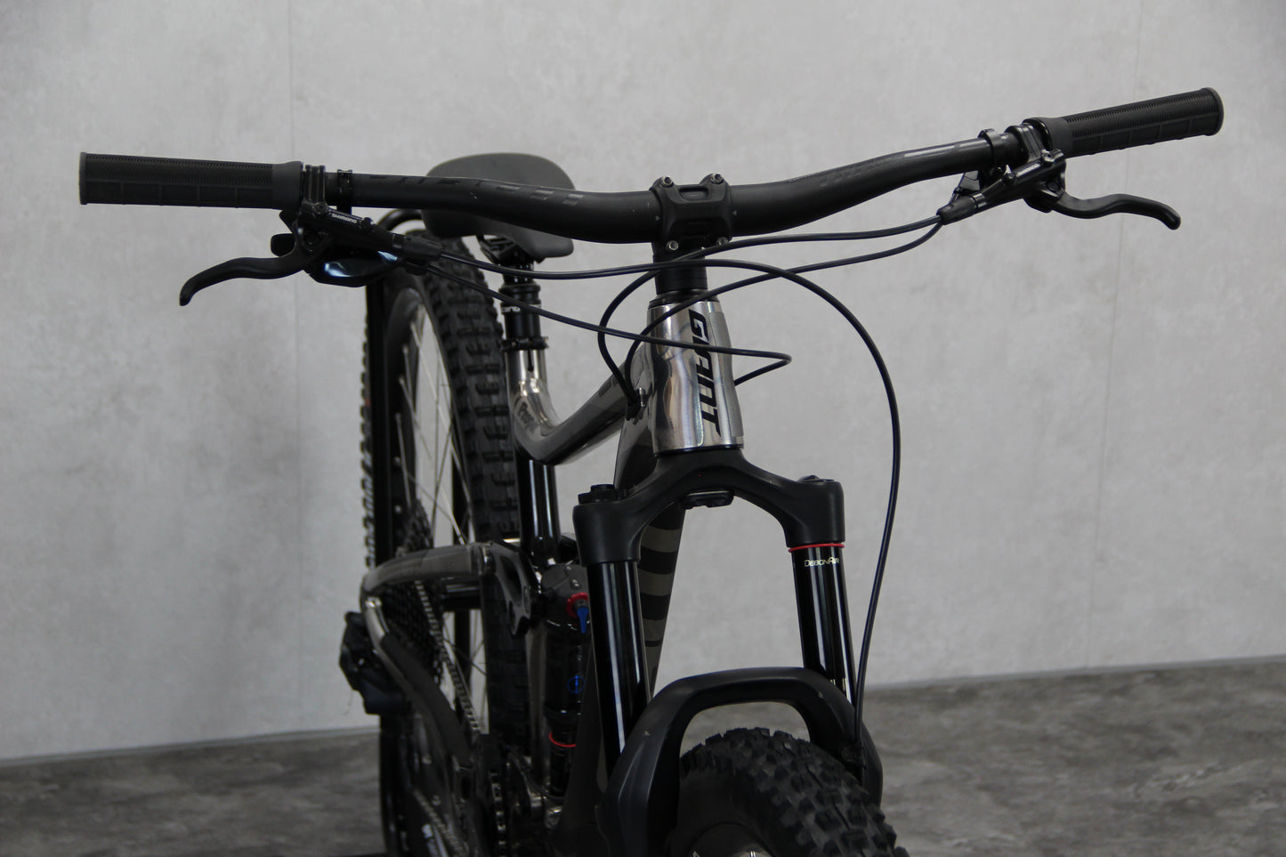 2020 Giant Reign 29
