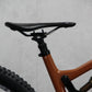 2019 Santa Cruz Tallboy