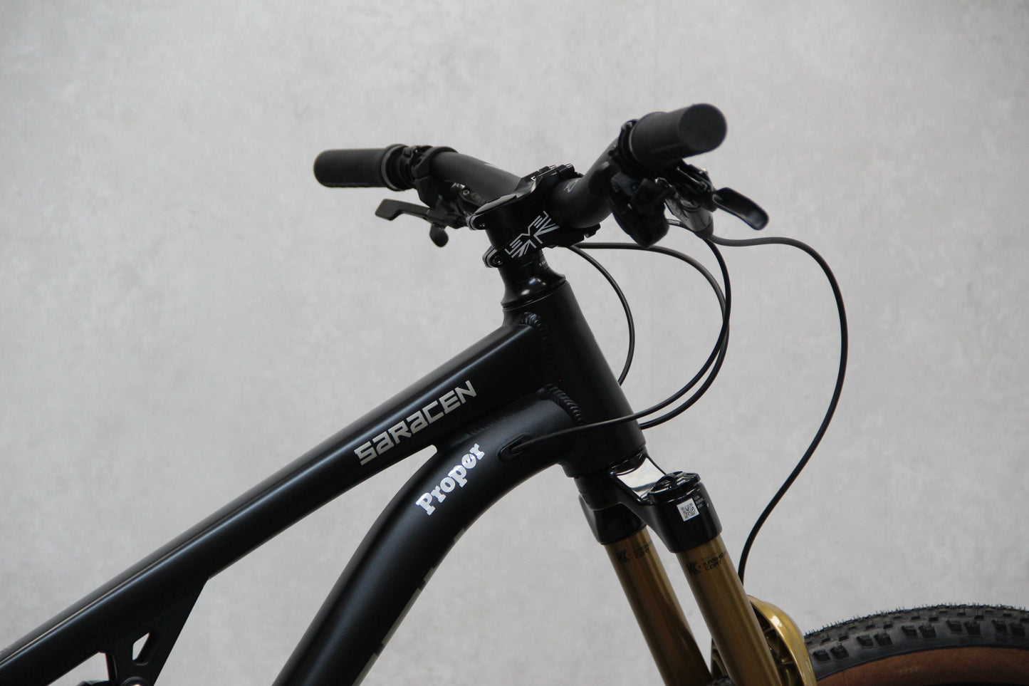 2025 Saracen Ariel