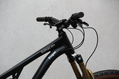 2025 Saracen Ariel