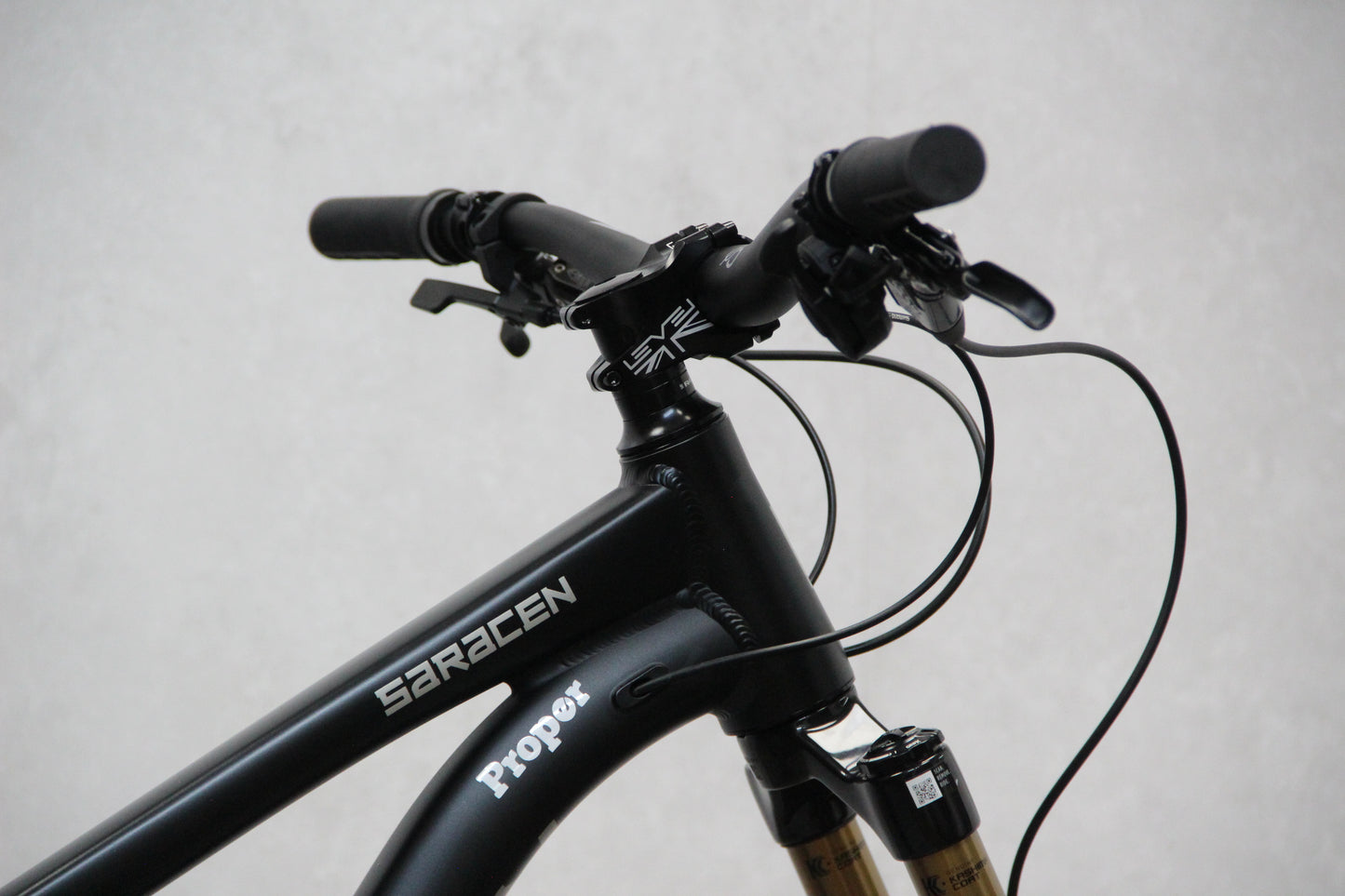 2025 Saracen Ariel