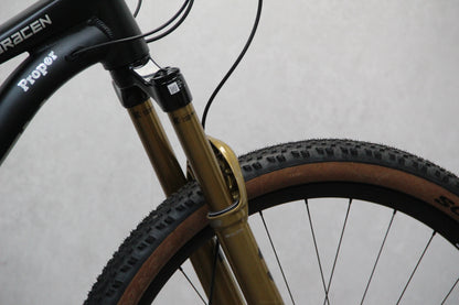 2025 Saracen Ariel