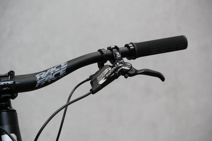 2025 Saracen Ariel