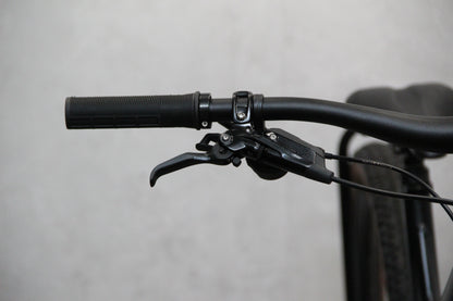 2025 Saracen Ariel