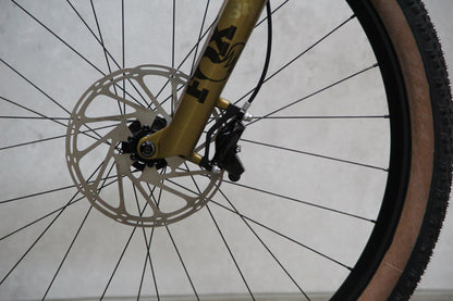 2025 Saracen Ariel