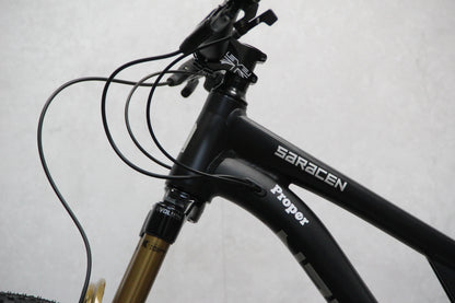 2025 Saracen Ariel