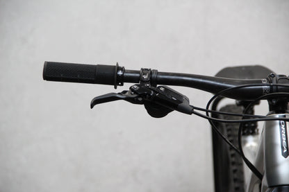 2020 Orbea Occam