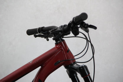 2019 Transition Sentinel