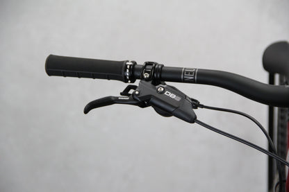 2019 Transition Sentinel