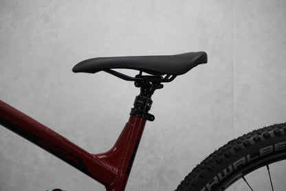 2019 Transition Sentinel