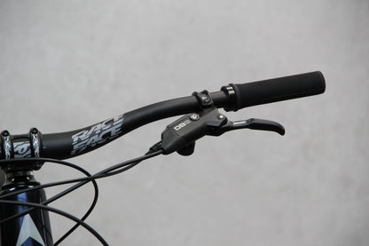 2022 Vitus Sommet