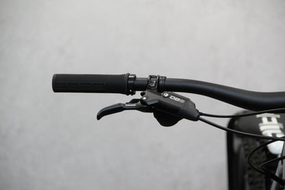 2022 Vitus Sommet