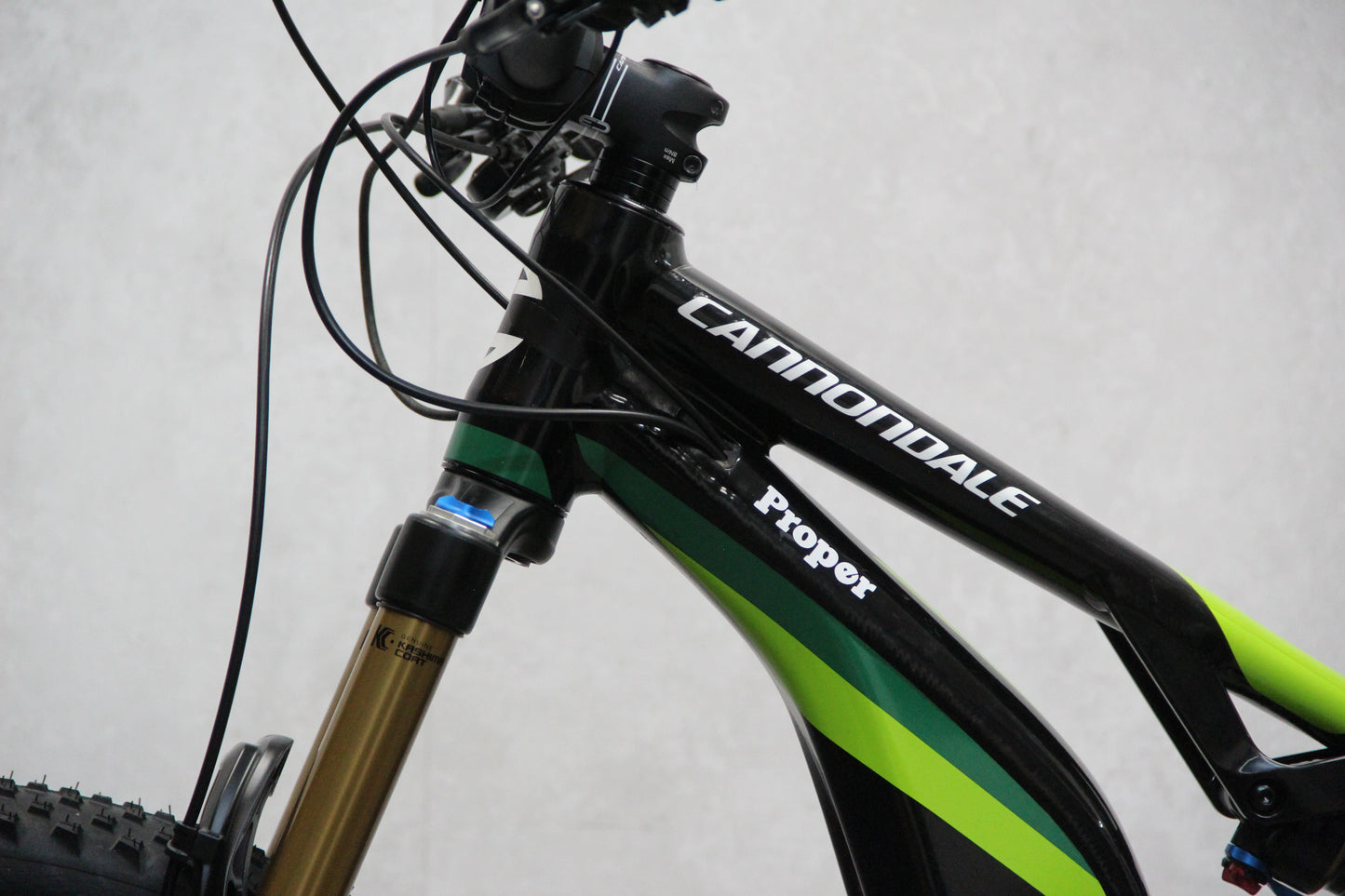 2018 Cannondale Moterra (E Bike)