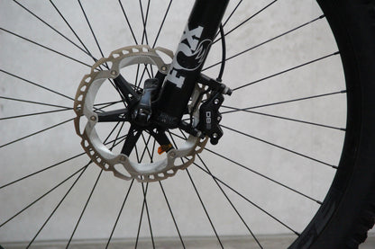2021 Canyon Spectral:ON (E Bike)