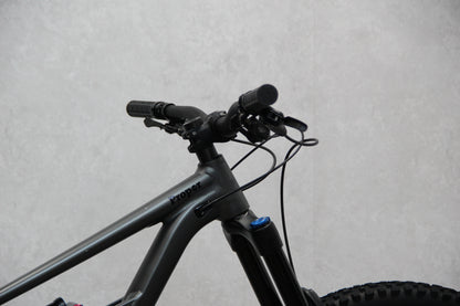 2021 Specialized Status 160