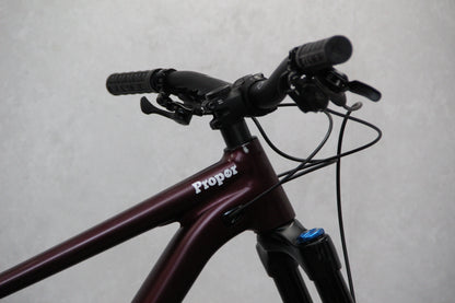 2021 Specialized Status 160
