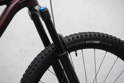 2021 Specialized Status 160