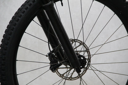 2021 Specialized Status 160