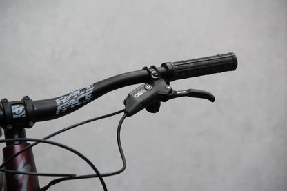 2021 Specialized Status 160
