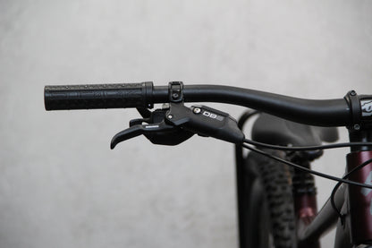 2021 Specialized Status 160