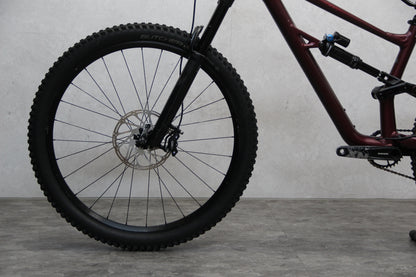 2021 Specialized Status 160