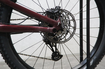 2021 Specialized Status 160