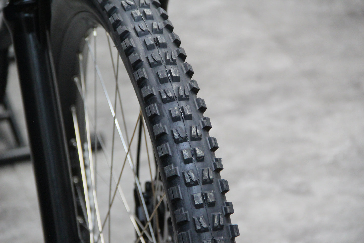 2021 Privateer 161