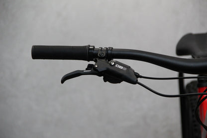 2021 Trek Remedy 8