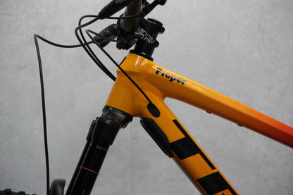2021 Trek Remedy 8