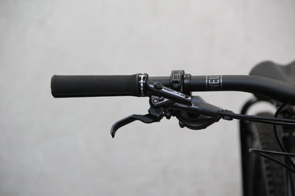 2023 Vitus Mythique