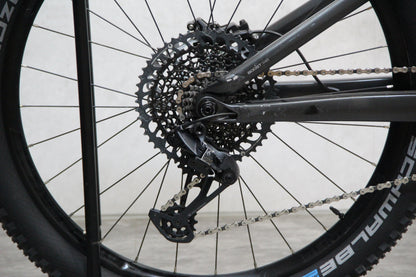 2021 Trek Remedy 8