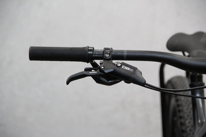 2021 Trek Remedy 8