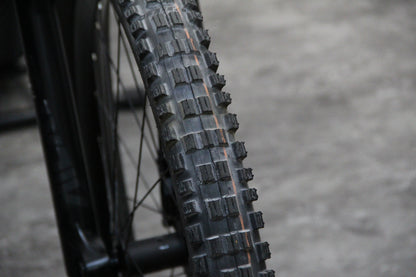 2021 Trek Remedy 8