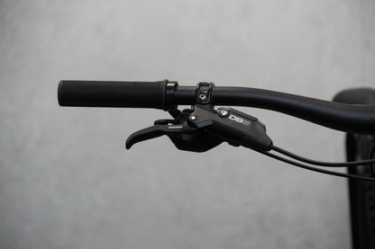 2019 Marin Alpine Trail